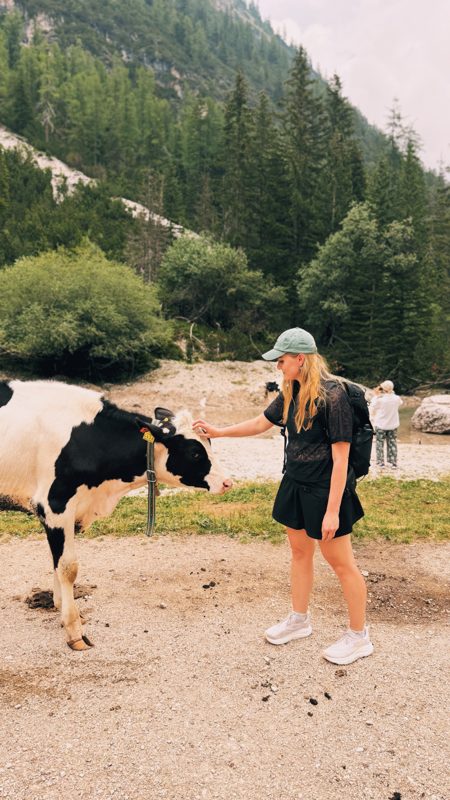 Aleksandra stroking a calf on the path above Lago di Braies