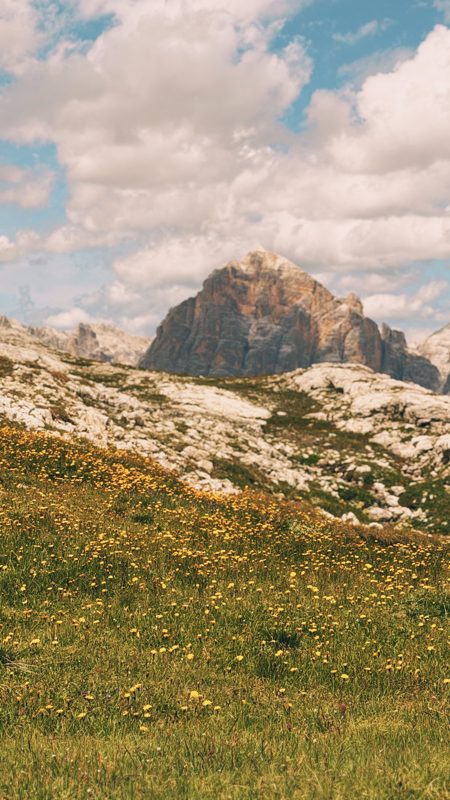 A yellow flower meadow below a golden rock massif on the Formin plateau